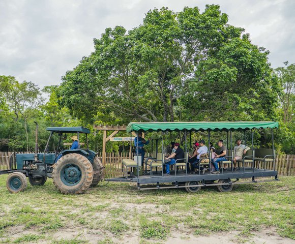 Cultura do pantaneiro: conheça a rotina dos peões