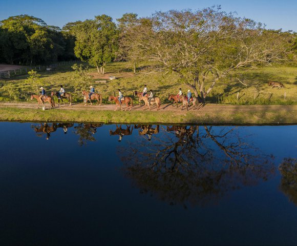 Comitiva de gado: a jornada dos peões pelo Pantanal