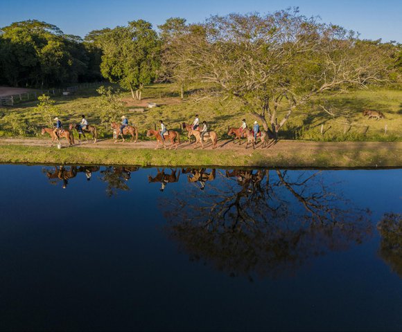 Cavalgar com uma verdadeira comitiva boiadeira é possível no Pantanal  sul-mato-grossense – Turismo MS