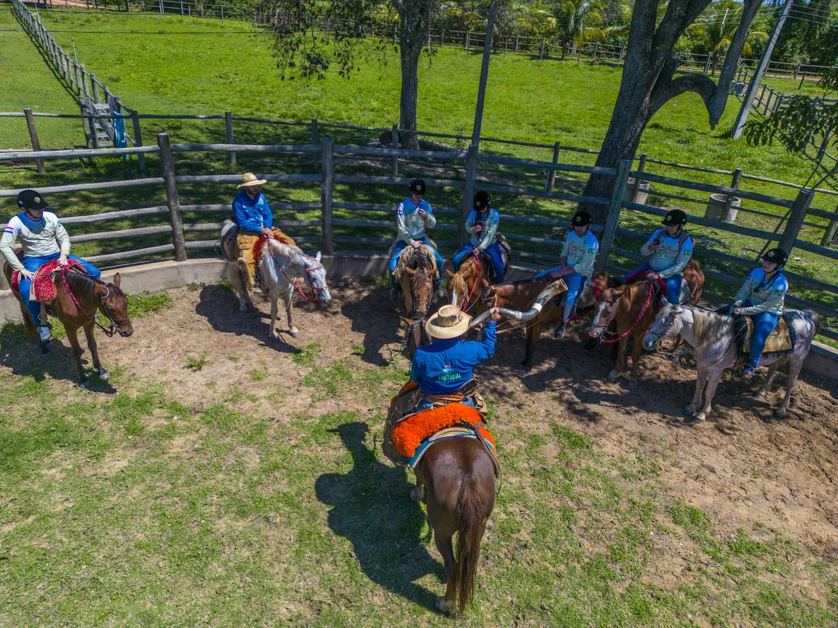 Comitiva de peão de boiadeiro em Mato Grosso do Sul, Stock image